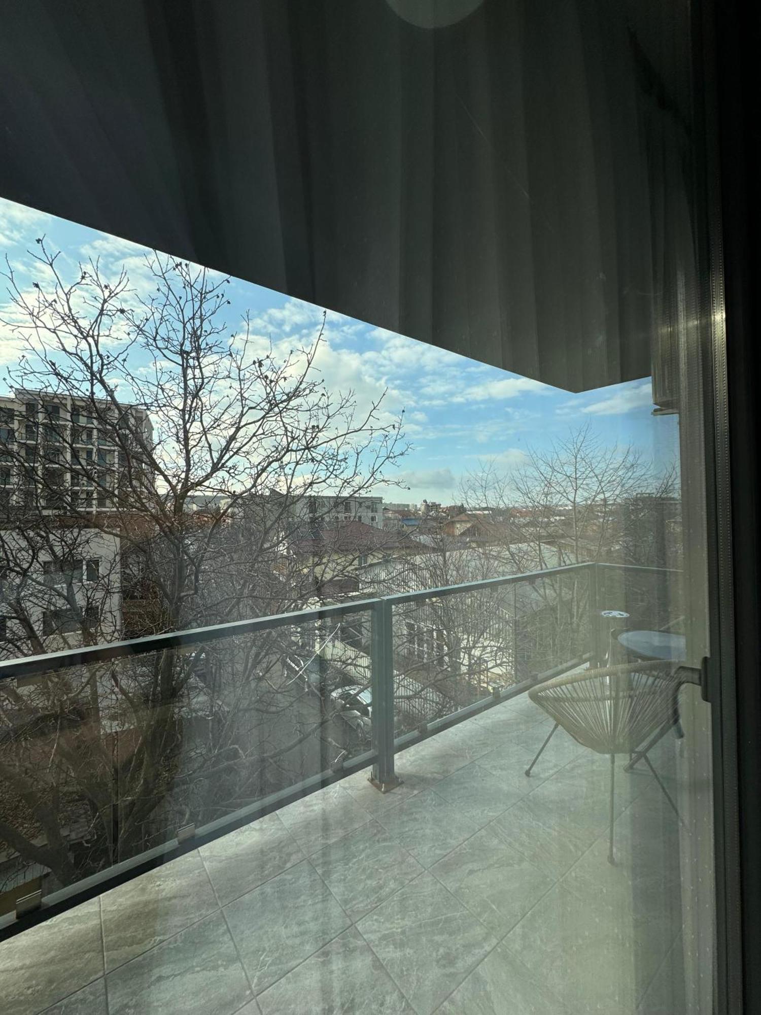 Hotel Palas Grand View ヤシ エクステリア 写真