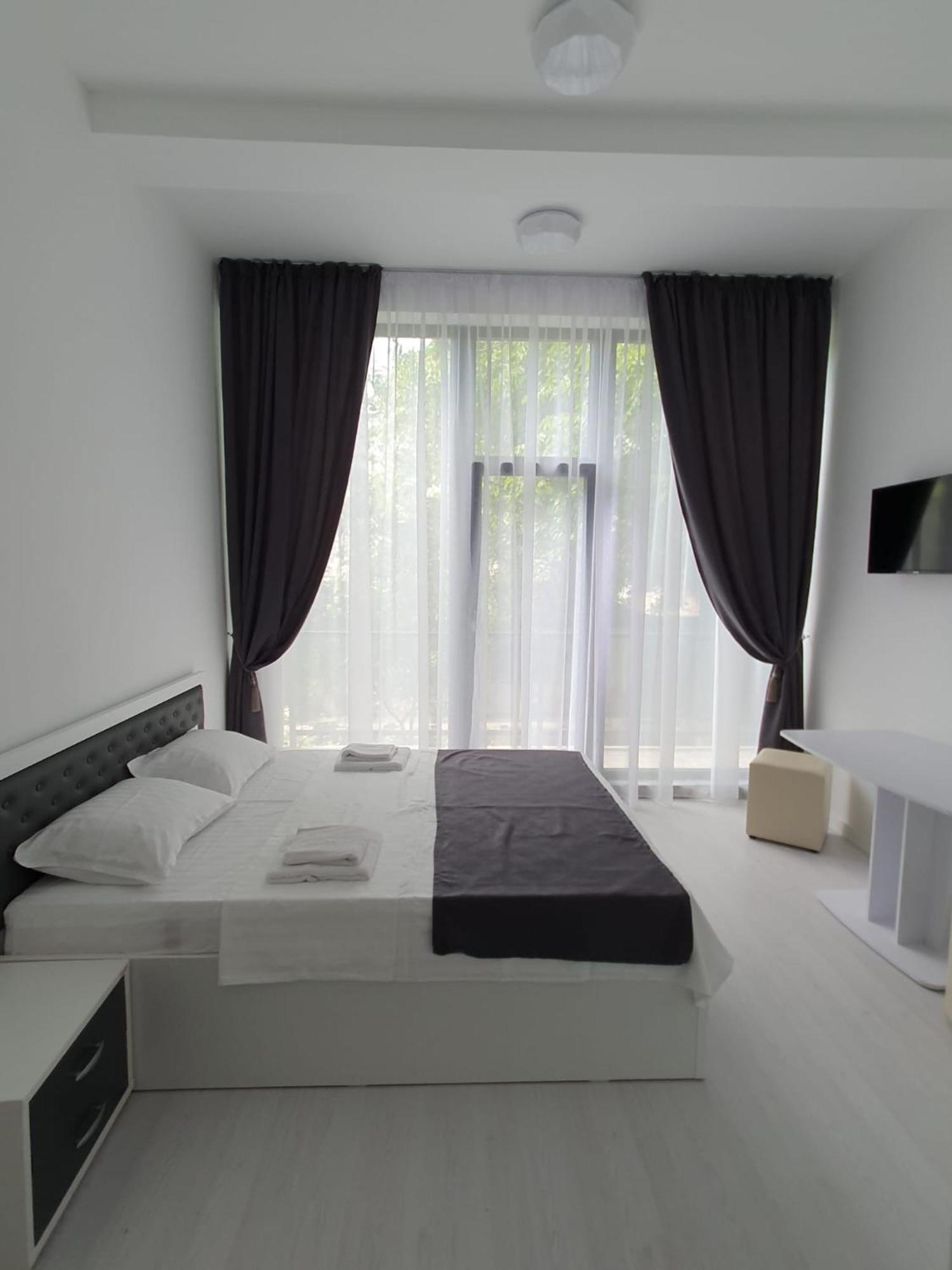 Hotel Palas Grand View ヤシ エクステリア 写真